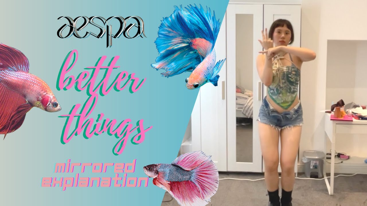 [Mirrored Explanation] (CHORUS+DANCE BREAK) AESPA | 'Better Things’ Step-by-Step Dance Tutorial