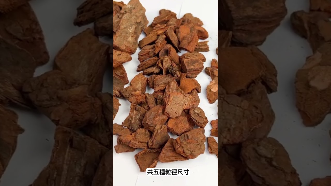KIWI紐西蘭樹皮50L 五種尺寸大小 紐西蘭 天然松樹皮 樹皮 盆栽土表鋪面 造景鋪設 氣根類植物 天然樹皮 觀葉介質 爬蟲底材 介質