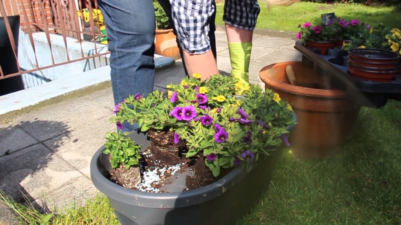 Blumen einpflanzen in einem elho Blumenkasten für das Geländer sehr praktisch