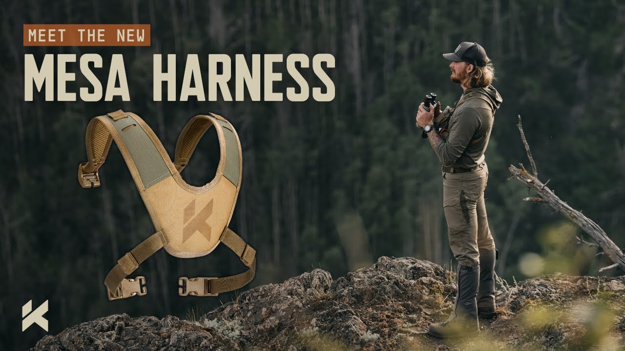MESA HARNESS