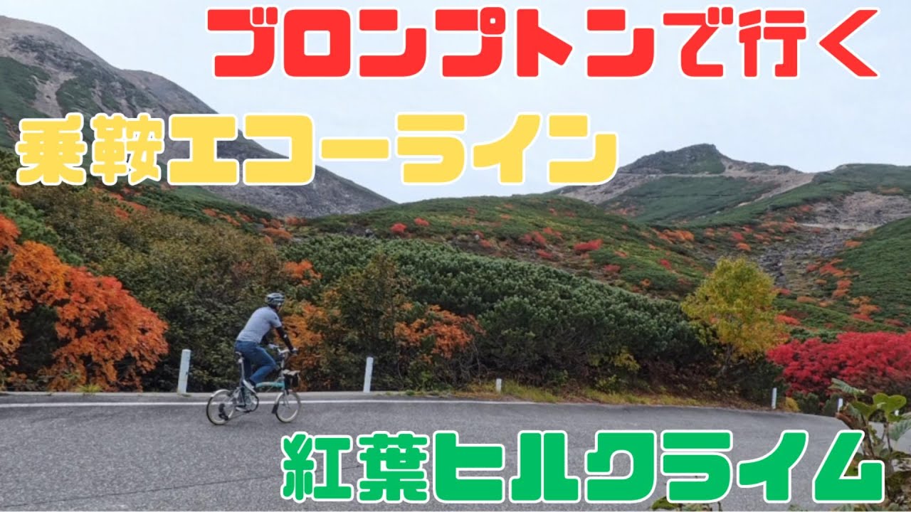 ブロンプトンで行く乗鞍エコーライン紅葉ヒルクライム