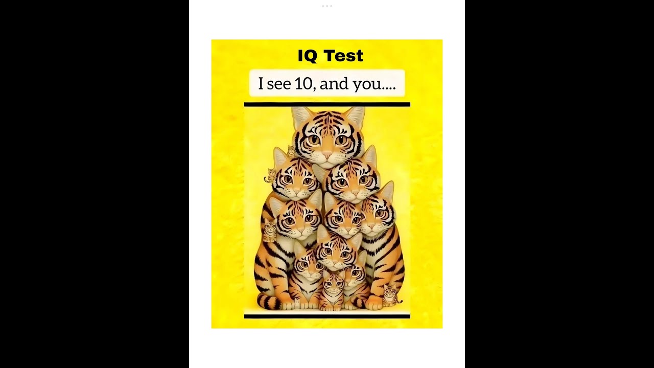How much you see?
