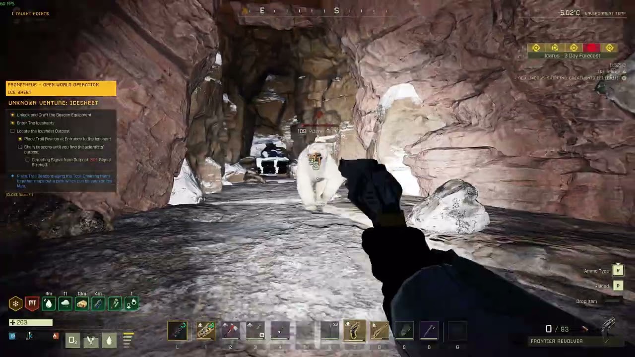 Icarus Bear