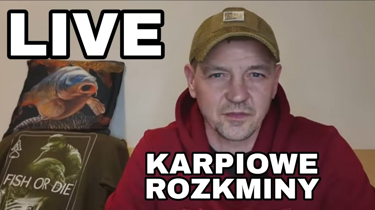 LIVE - karpiowe rozmowy