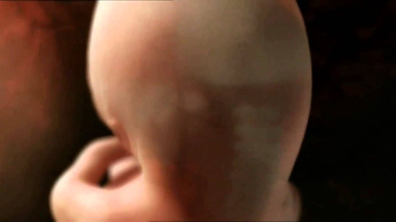 The Miracle Of Human Creation