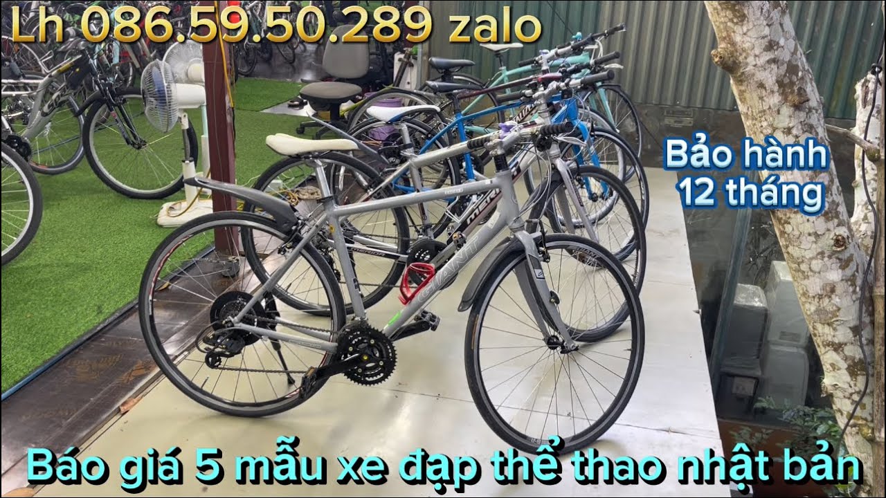 xe đạp thể thao nhật bản h&agrave;ng đ&atilde; qua sử dụng lướt si&ecirc;u bền. Lh 086.59.50.289 zalo