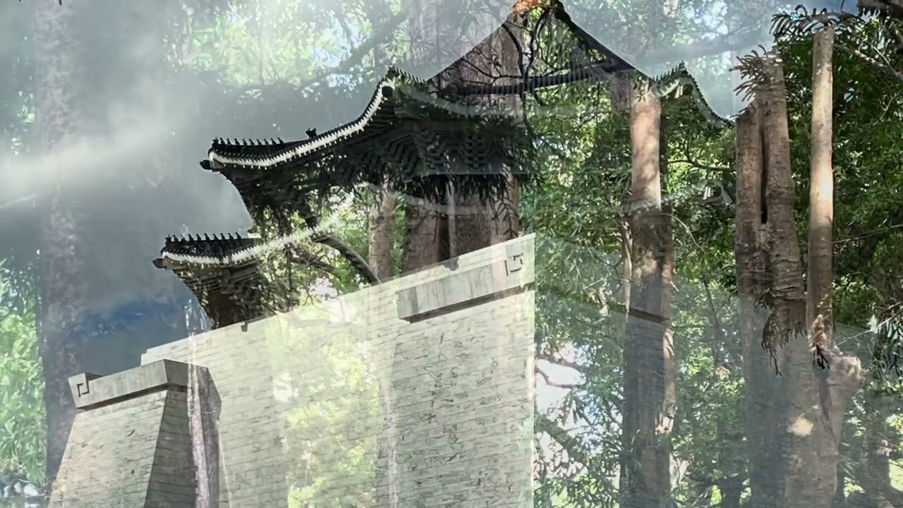 久違了中正紀念堂