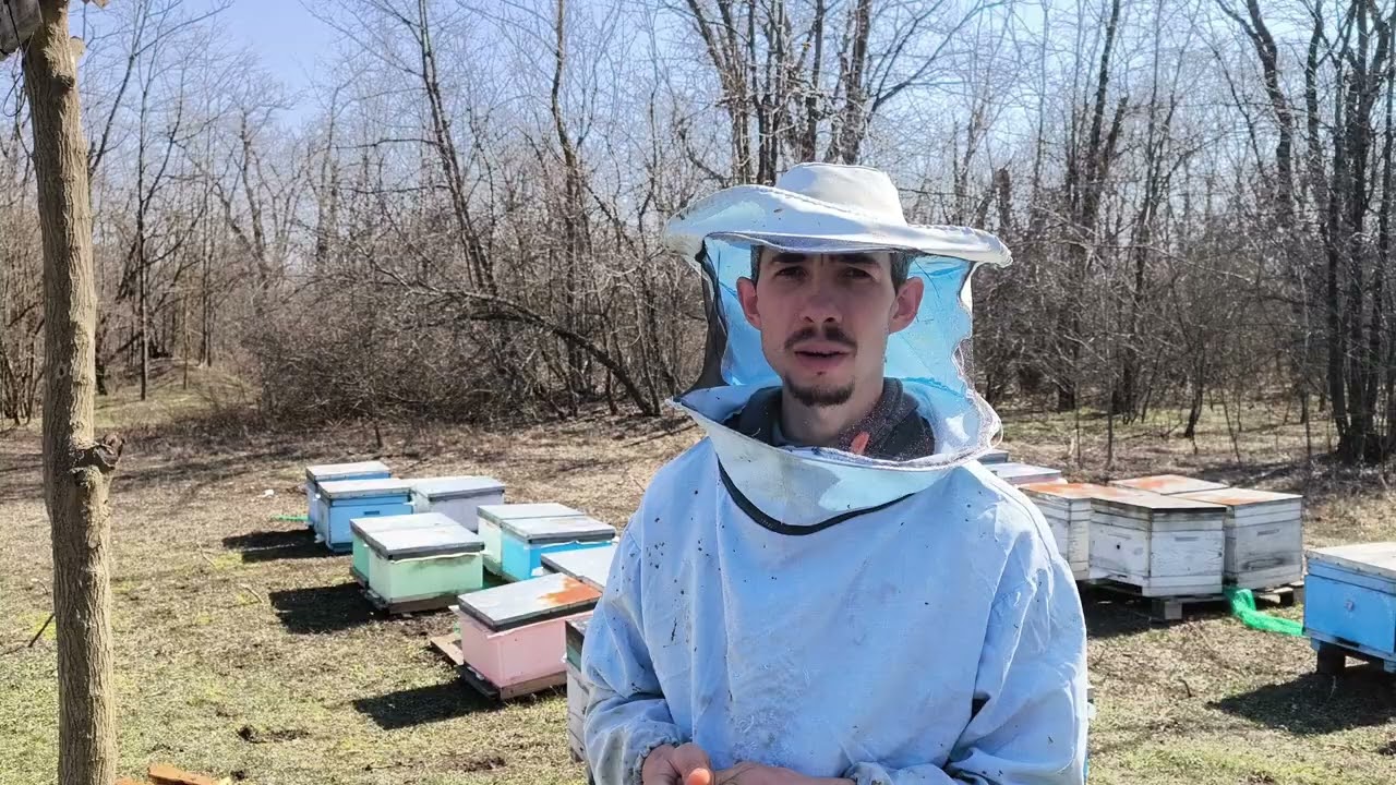 Выжила семья спустя 7 месяцев.👍🐝☀️😁
