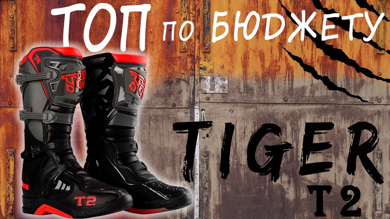 ЛУЧШИЕ БЮДЖЕТНЫЕ МОТОБОТЫ - TIGER T2