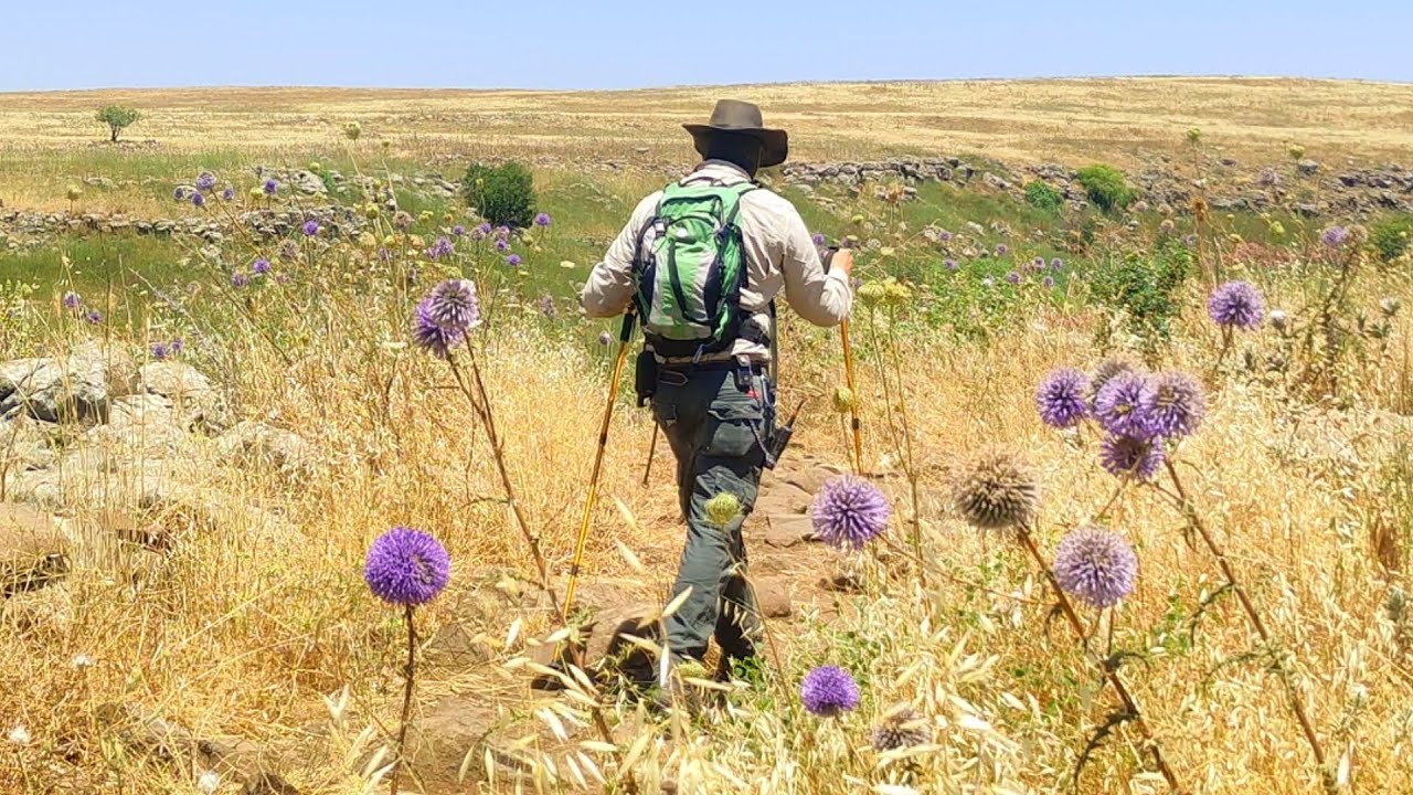 Hiking on the Dolmen trail in Gamla nature reserve