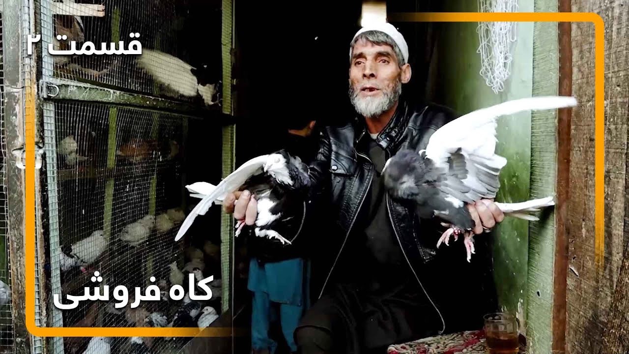 Kah Foroshi: Pigeons keeping tradition in Kabul - EP2 / کاه فروشی: فرهنگ کبوتر بازی در کابل - قسمت ۲