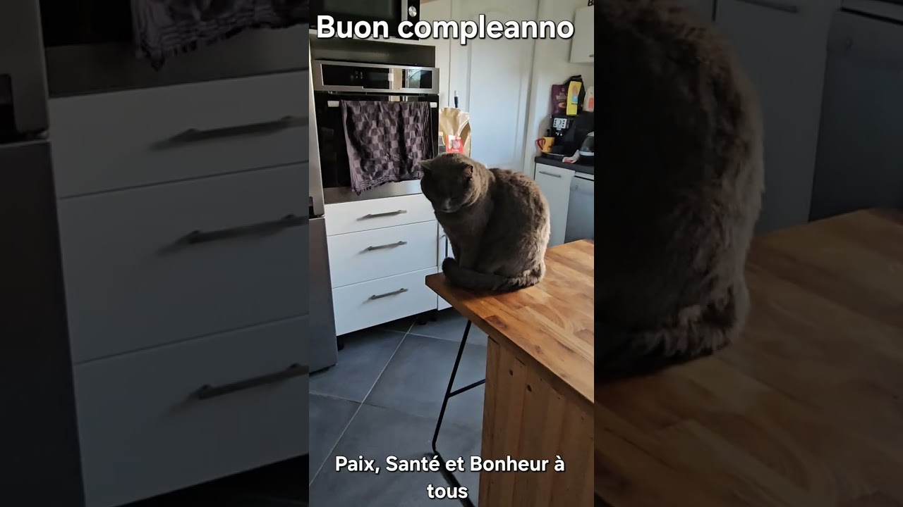 Bon Dimanche 1er Février 2026 ❤️ Bonne Fête Brigitte,... 🌹 🌹 🌹 