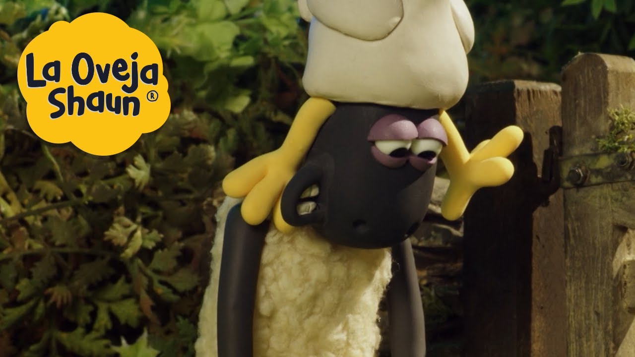 La Oveja Shaun 🐑 Sombrero de pollo 🐑 Dibujos animados para niños