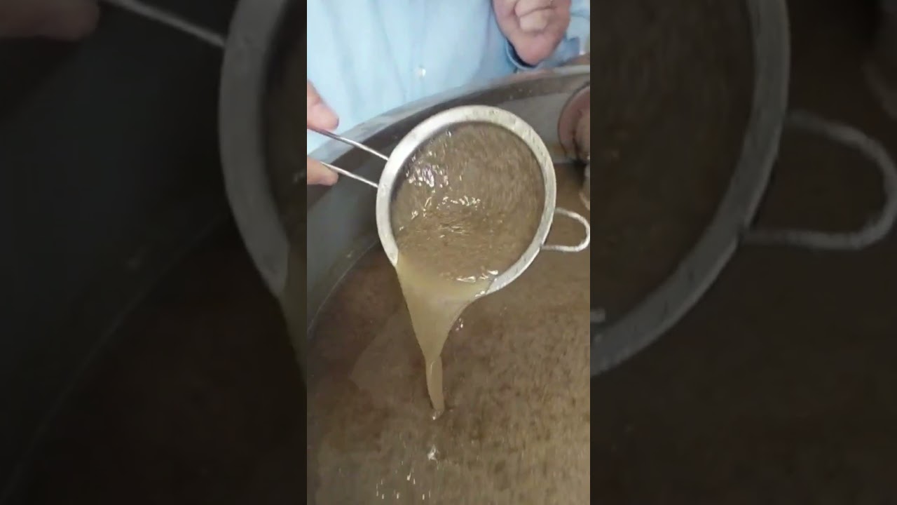 Acelere a multiplicação de fungos e bactérias: Conheça nossos biorreatores para produtores rurais!