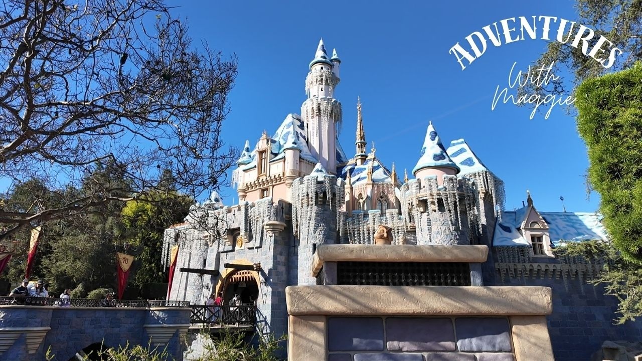 Disneyland Relaxing Park Walkthrough - POV January 2026 Vlog #324