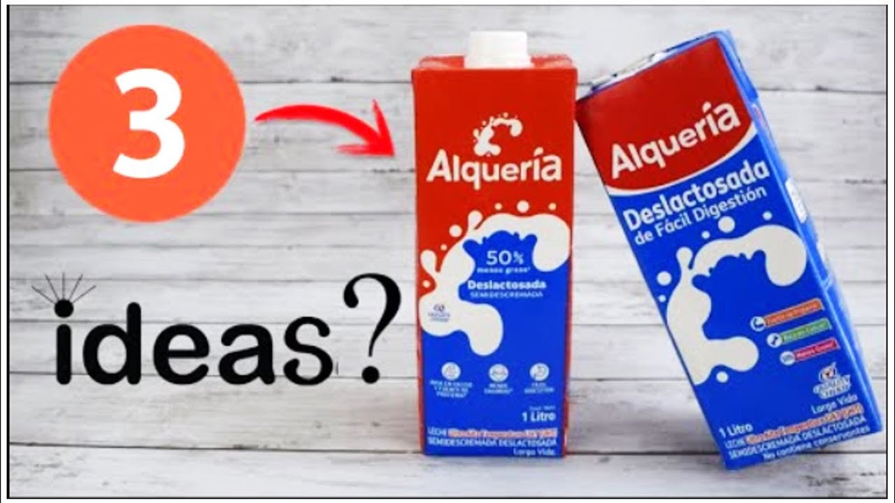3 IDEAS FÁCILES con CAJAS DE LECHE o TETRA BRICKS 😍 Manualidades con CAJAS DE LECHE o TETRAPACK