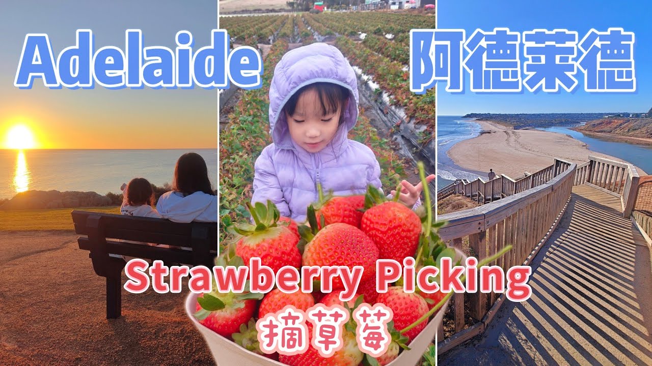 Adelaide | pick Strawberry | Harvest the Fleurieu | Onkaparinga | Jubilee Park | Heron Way Reserve