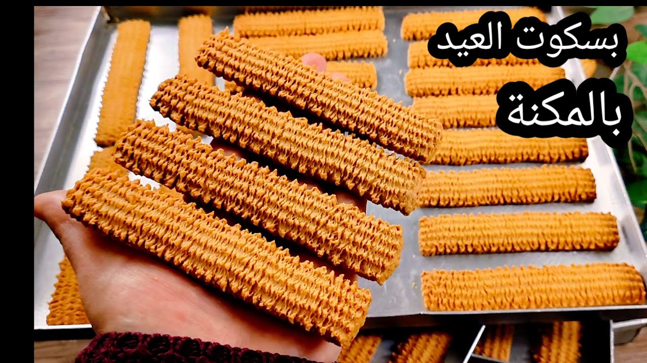 بسكوت المكنة بالنشادر بخليط السمنة على زيت 🔴 اقتصادى  وخفيف على المعدة  ودايب دوبان 🔴