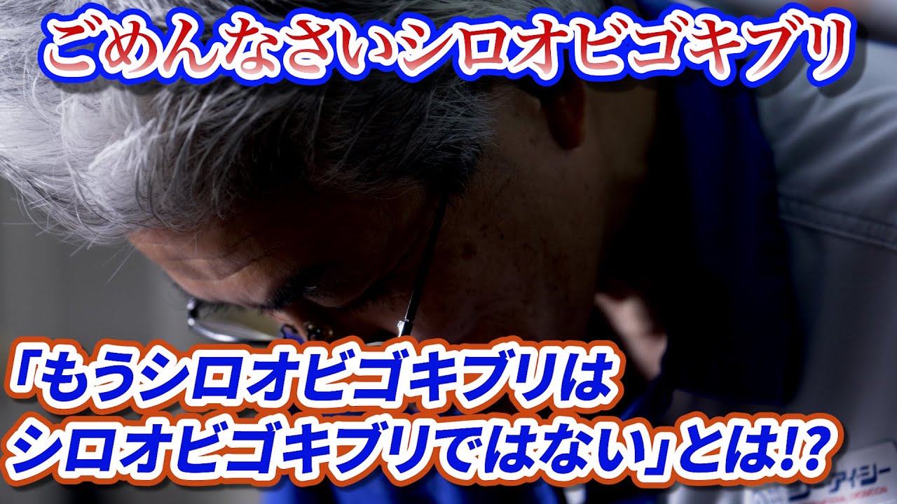 ごめんなさいシロオビゴキブリ