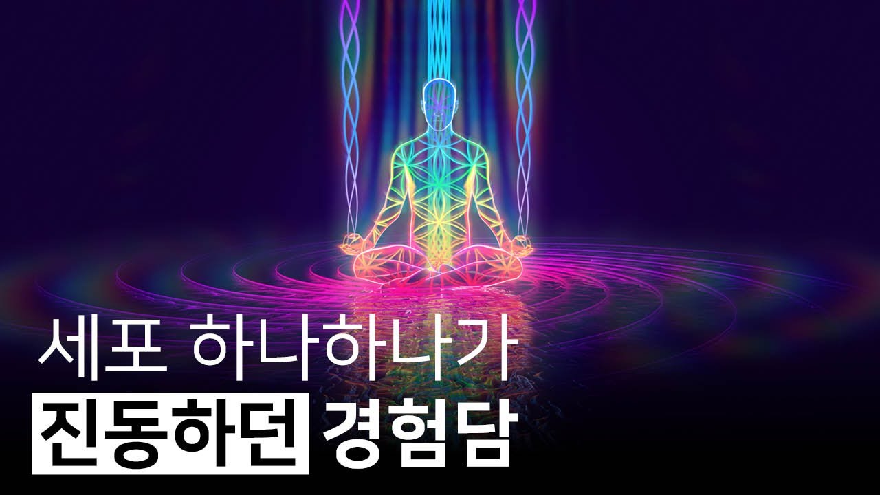 누워서 명상 중 경험한 온몸의 증폭된 감각 | 1일1답, 써니즈