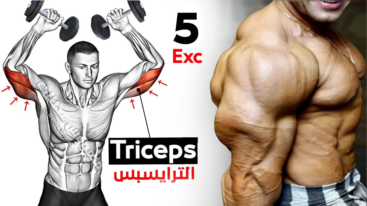 Как быстро нарастить тренировку на трицепс (5 эффективных упражнений)