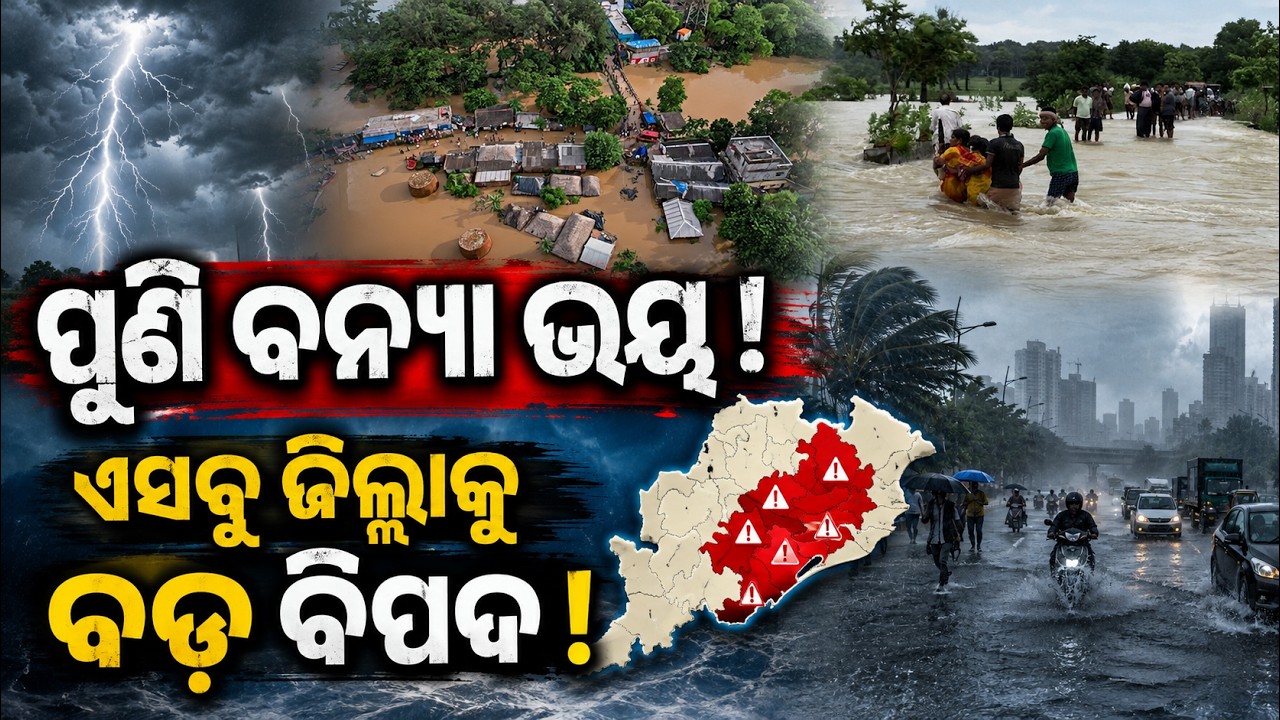 ଏସବୁ ଜିଲ୍ଲାକୁ ବନ୍ୟା ବିପଦ ! Heavy Rain Alert | low pressure | Odisha flood | news | Odia News