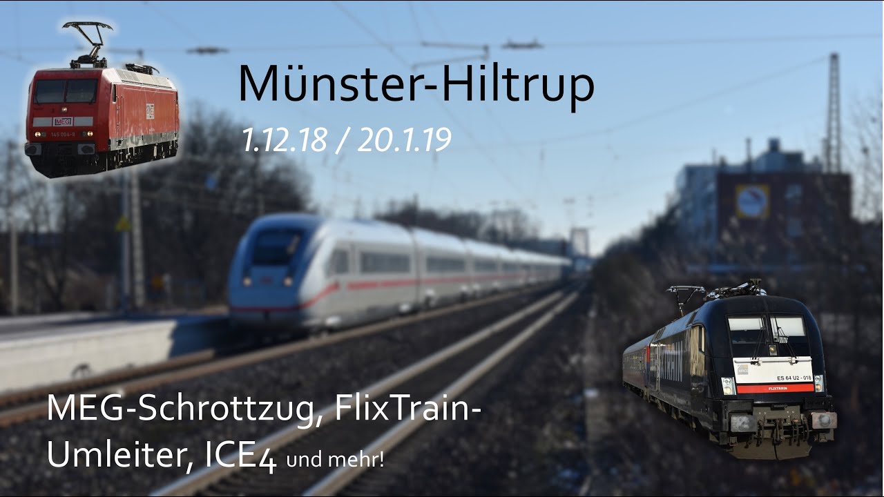 Münster-Hiltrup | Schrottzug/scrap train, Flixtrain, ICE4 und mehr/and more!