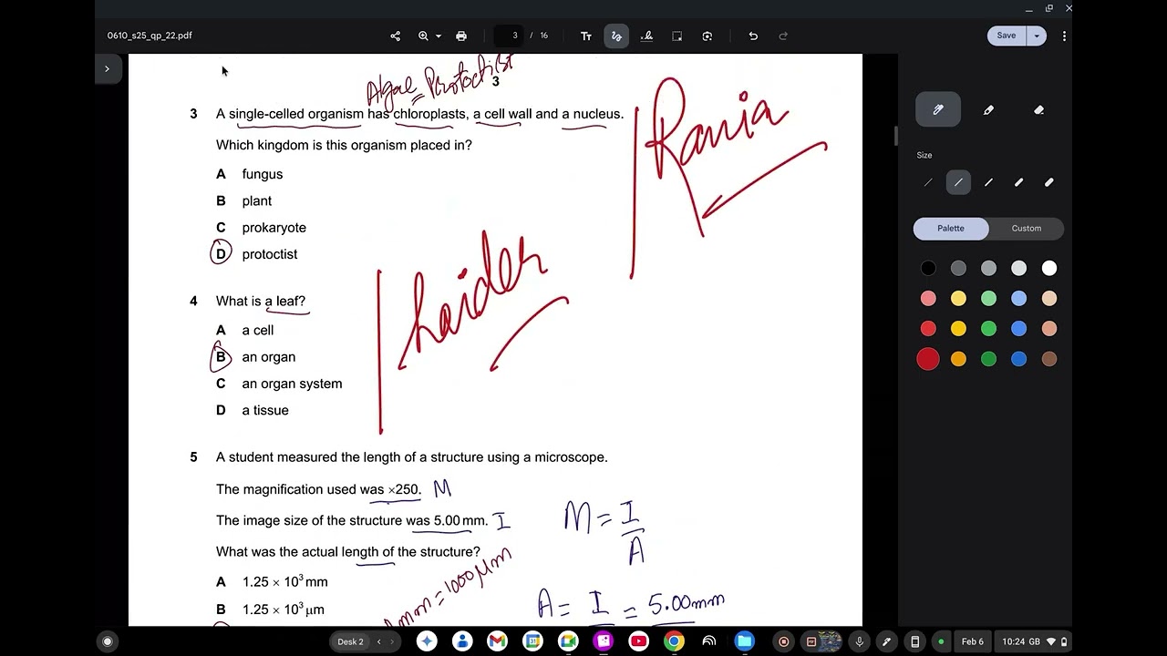 0610/22/M/J/25    IGCSE Biology May/June 2025 MCQs paper 22