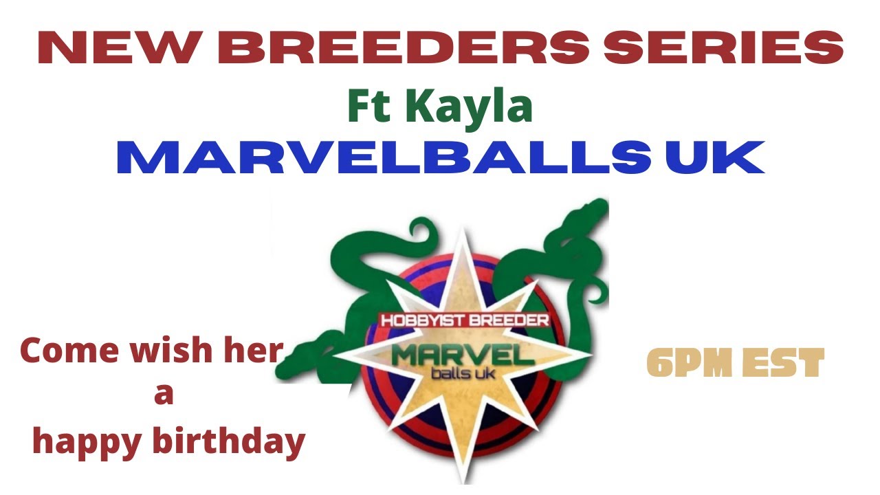 New Breeders Series: Kayla with MarvelballsUK