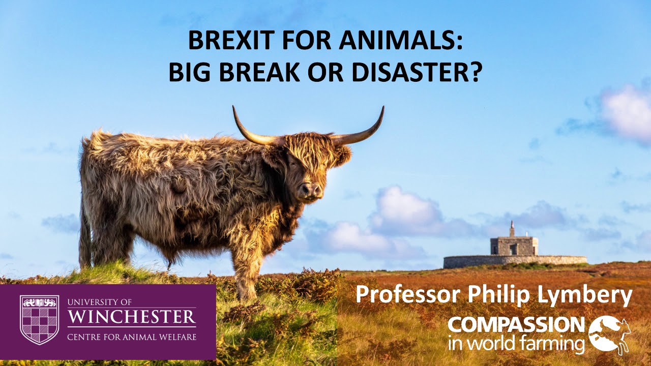 Brexit for Animals - Philip Lymbery, 2019