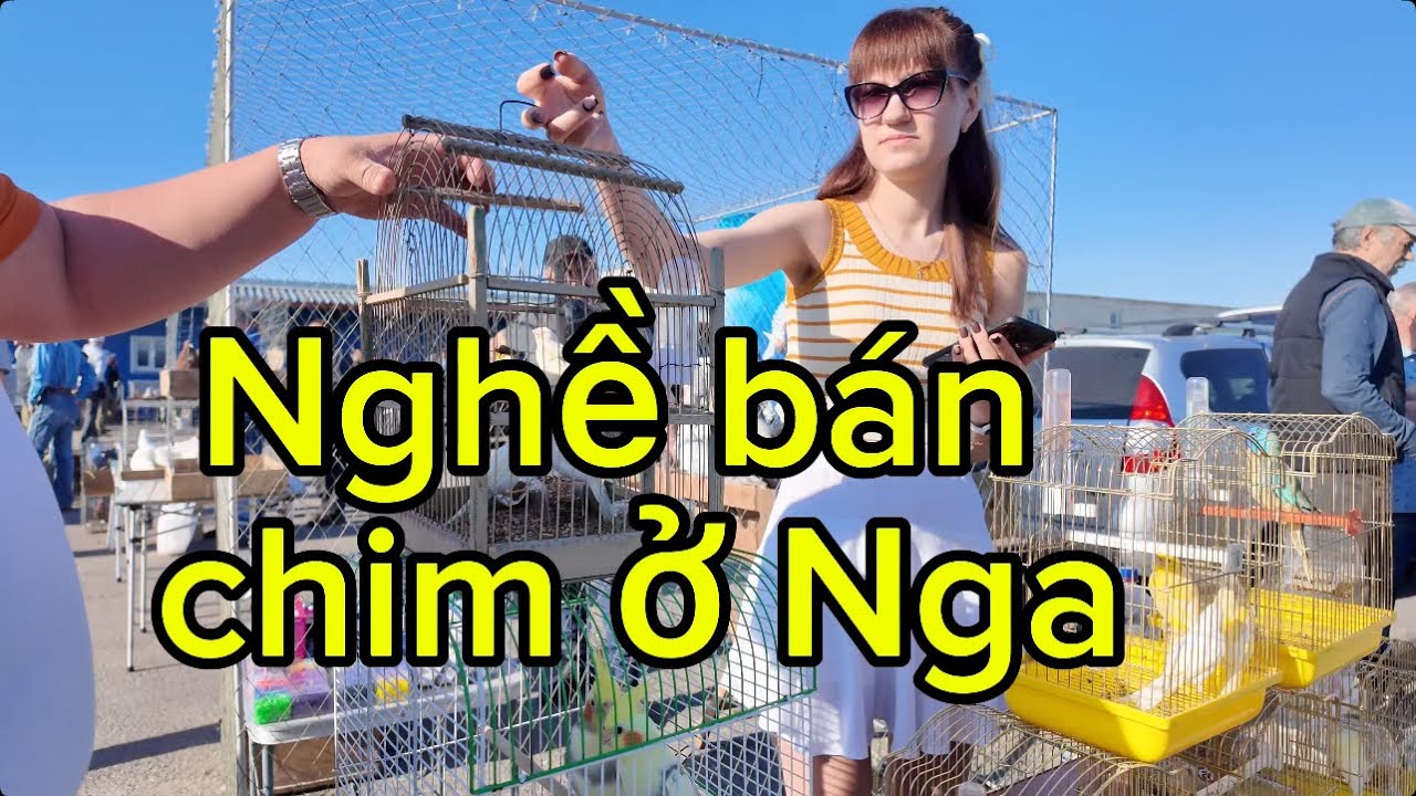 Phiên chợ bán chim đặc biệt ở Nga.