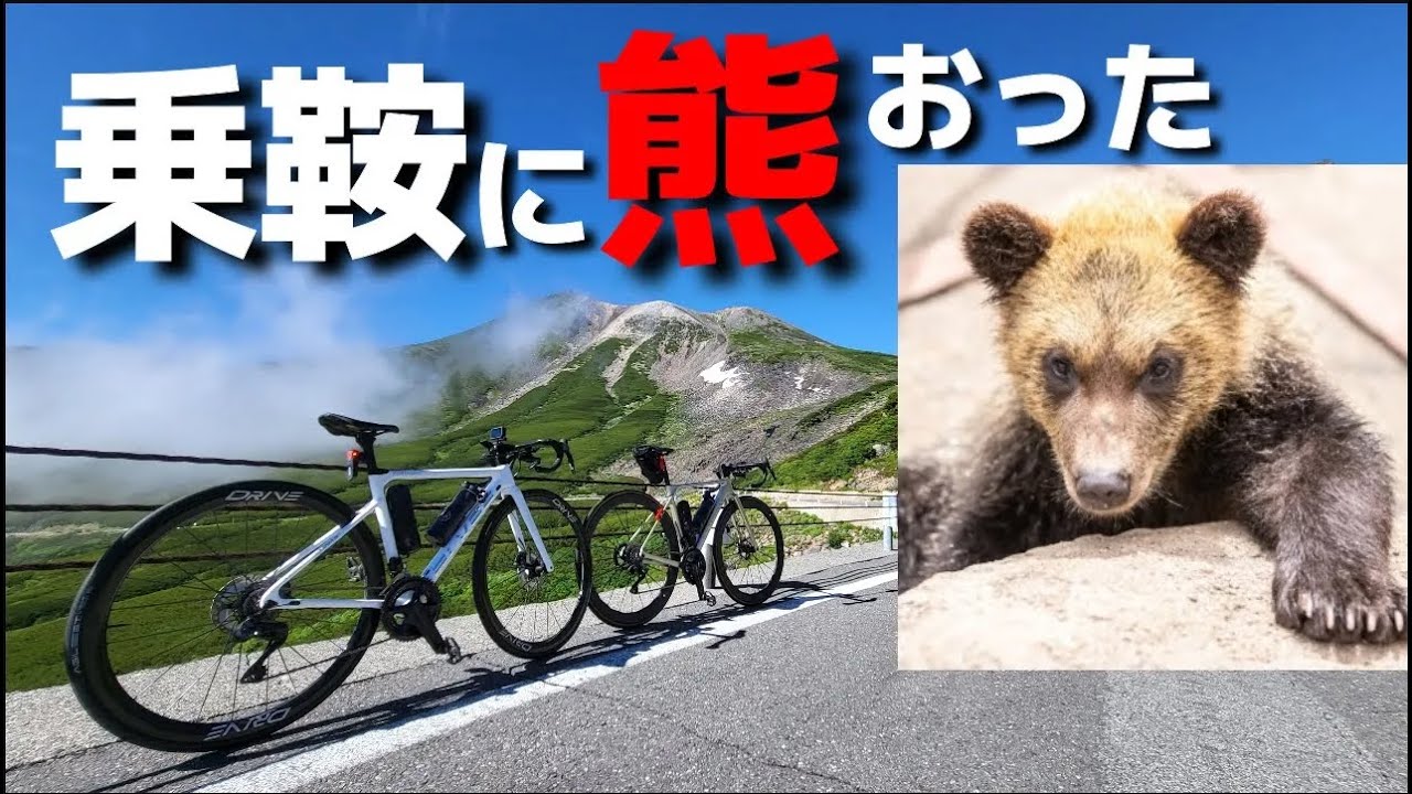 【乗鞍ヒルクライム】【乗鞍登山】目の前でクマと遭遇する乗鞍ロードバイク・トレランで２回登ってみたら累積3000mだった1泊2日