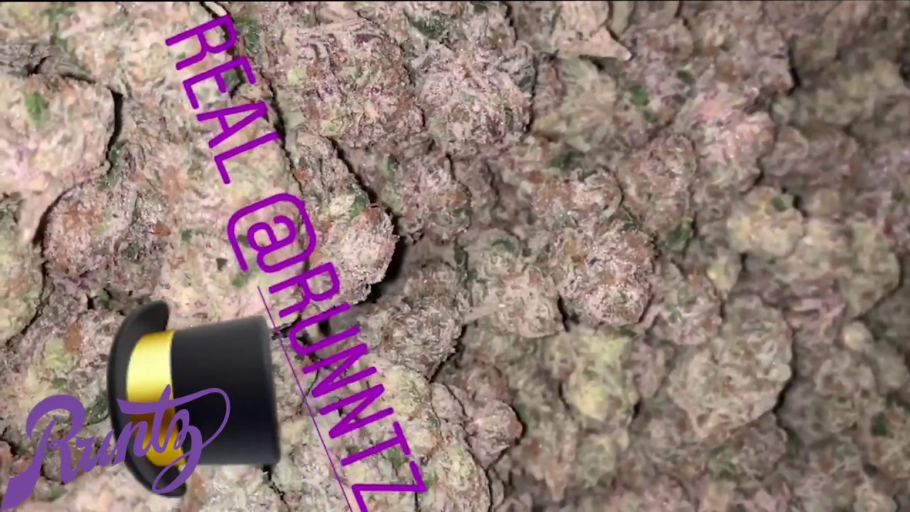 NEW RUNTZ FLAVORS...