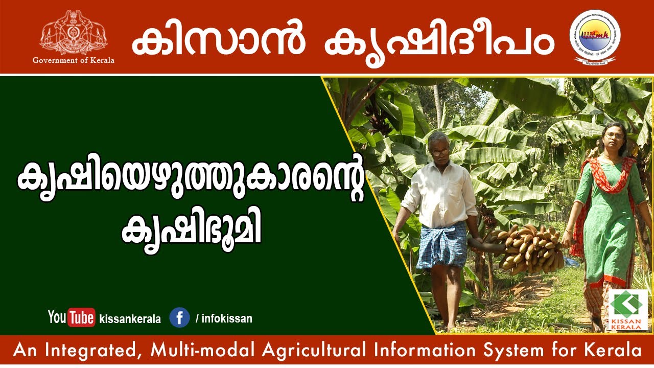 Amazing farmland of a farm journalist