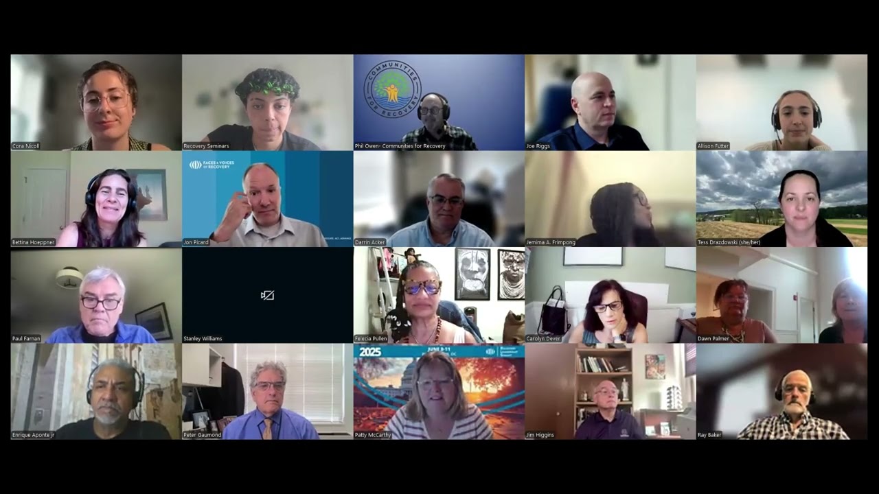 Seminar #42 - Exploratory Analysis of the Recovery Data Platform in RCC Participants