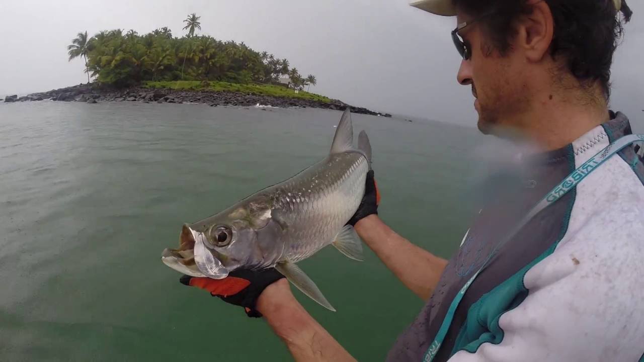 Pêche Guyane iles du Salut