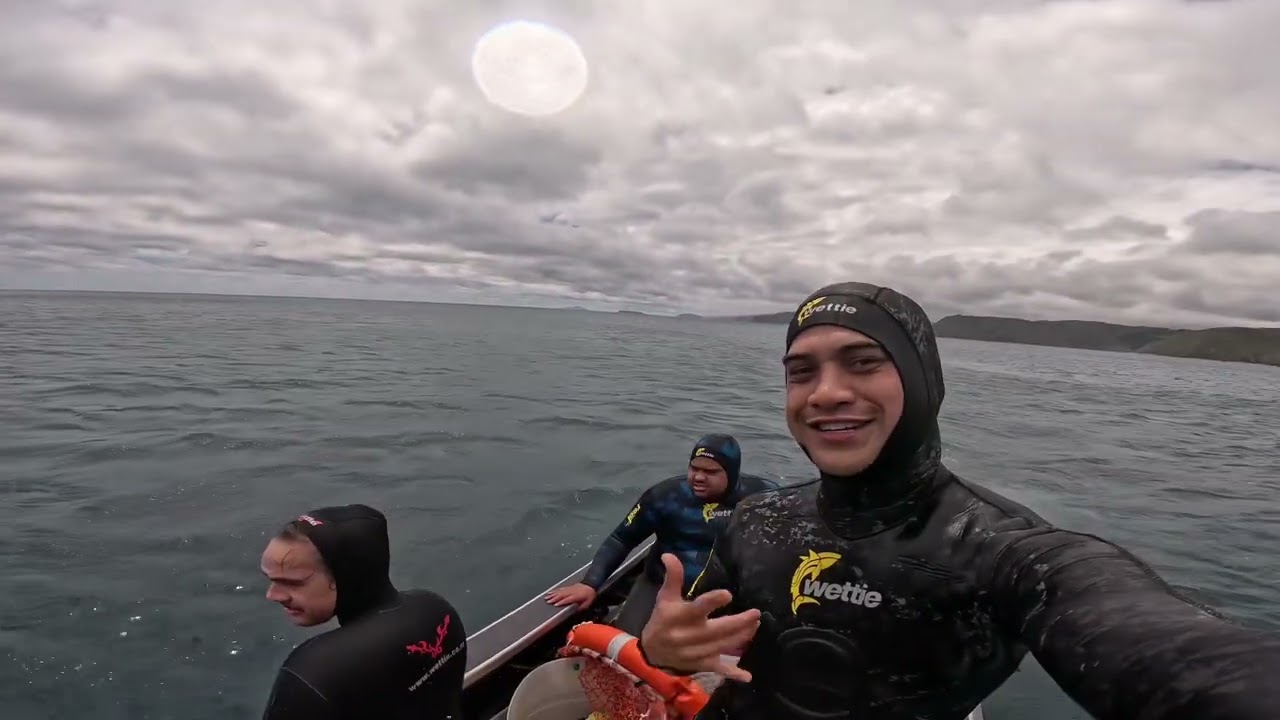 Christmas dive in Mākara