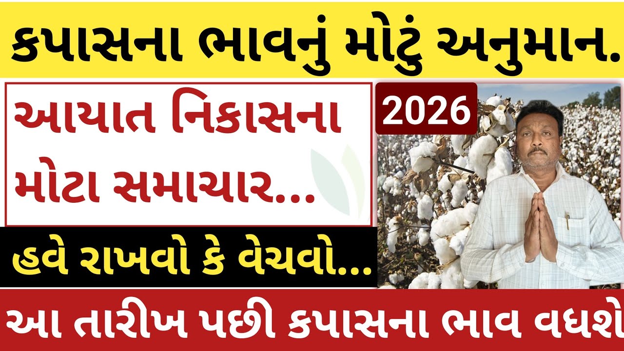 કપાસના ભાવનું મોટું અનુમાન =હવે રાખવો કે વેચવો | વર્ષ 2026 કપાસ ભાવ | kapas na bhav | khedut sahay