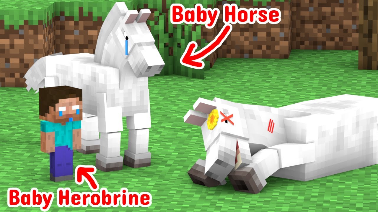 The Sad Life Of The Horse -  Minecraft Animation
