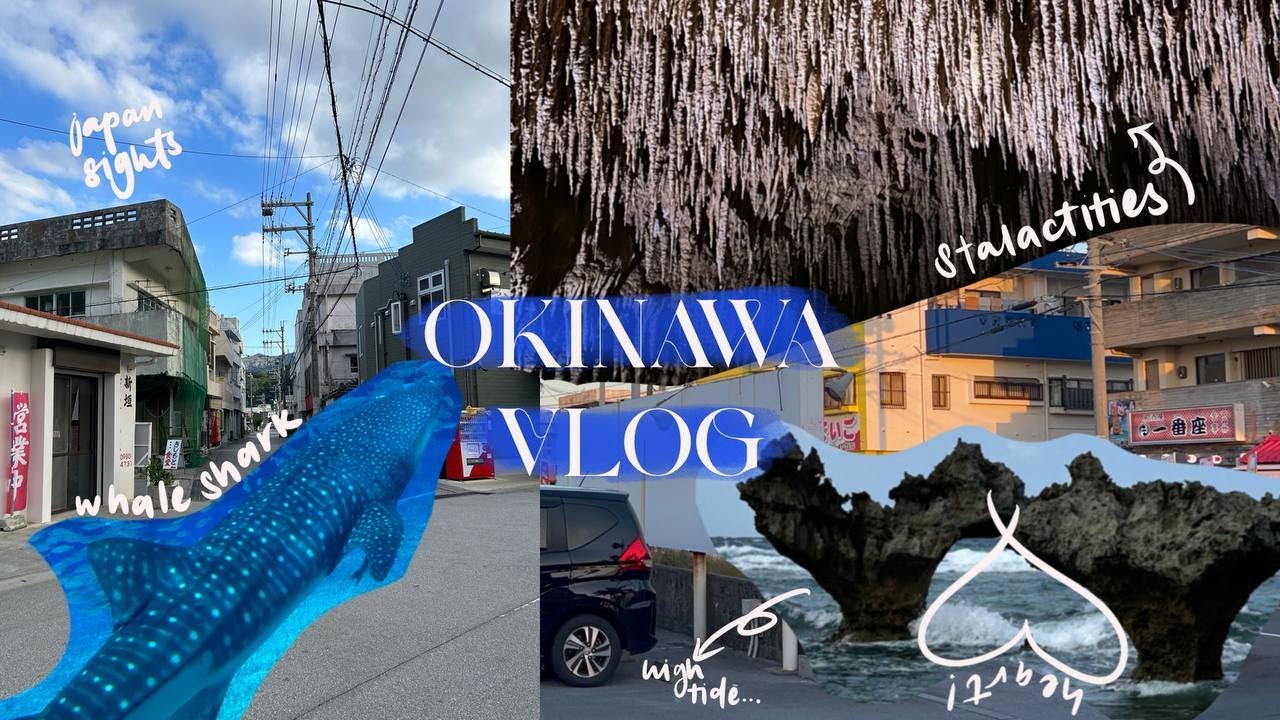 OKINAWA VLOG