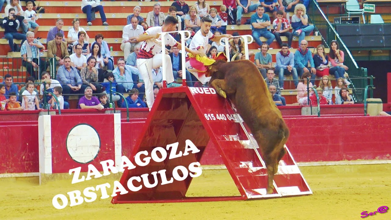 🟢ZARAGOZA INTGRA 01 ◾ Ganadería Arriazu  y  F. Machancoses