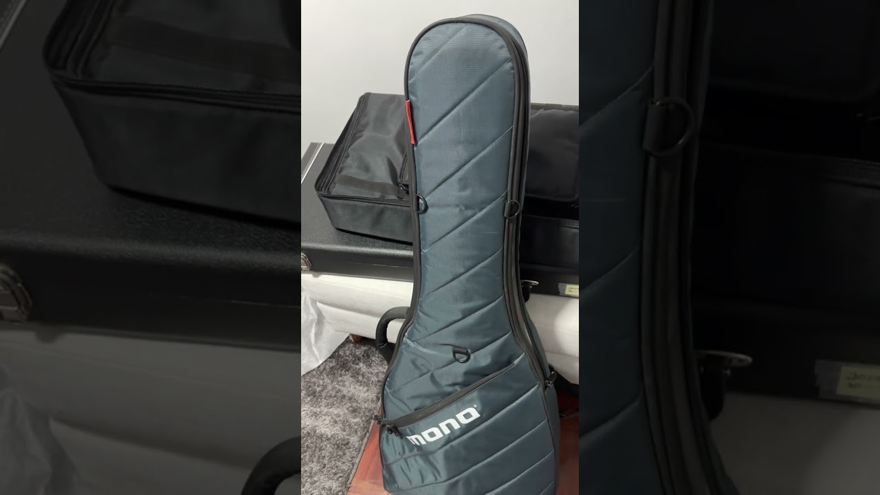 Lo bueno y lo malo de mi funda de guitarra mono vértigo