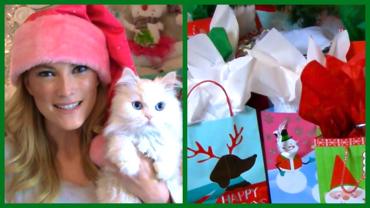 ❄Vlogmas Day 1❄ A December Surprise and a Black Friday Haul!