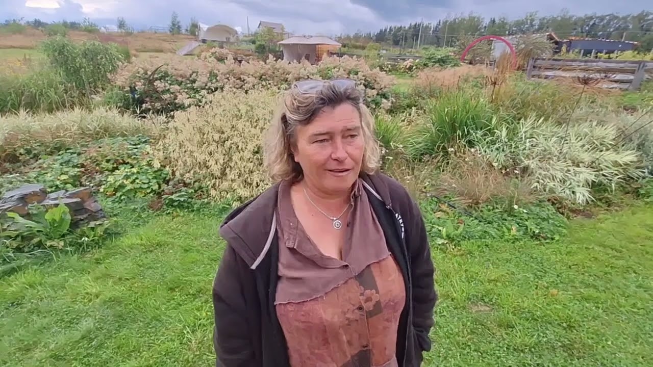 Так куда уходит тысячелистник?