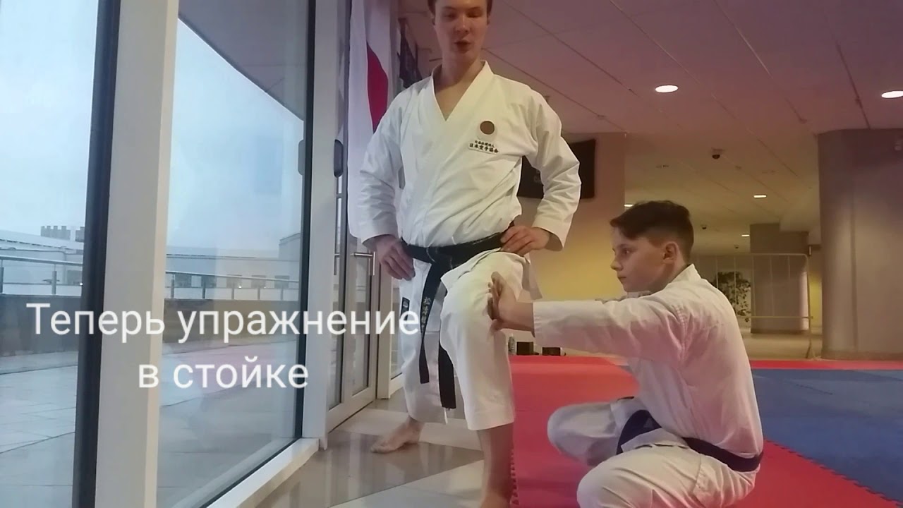 Тенировка бедер и дзенкуцу дачи