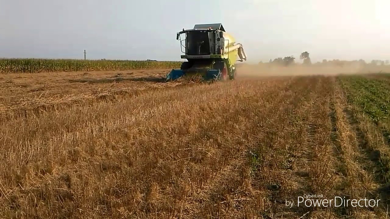 Zbiór Wiesiołka 2018 Claas TUCANO W akcji. Usługi KuRlaPski