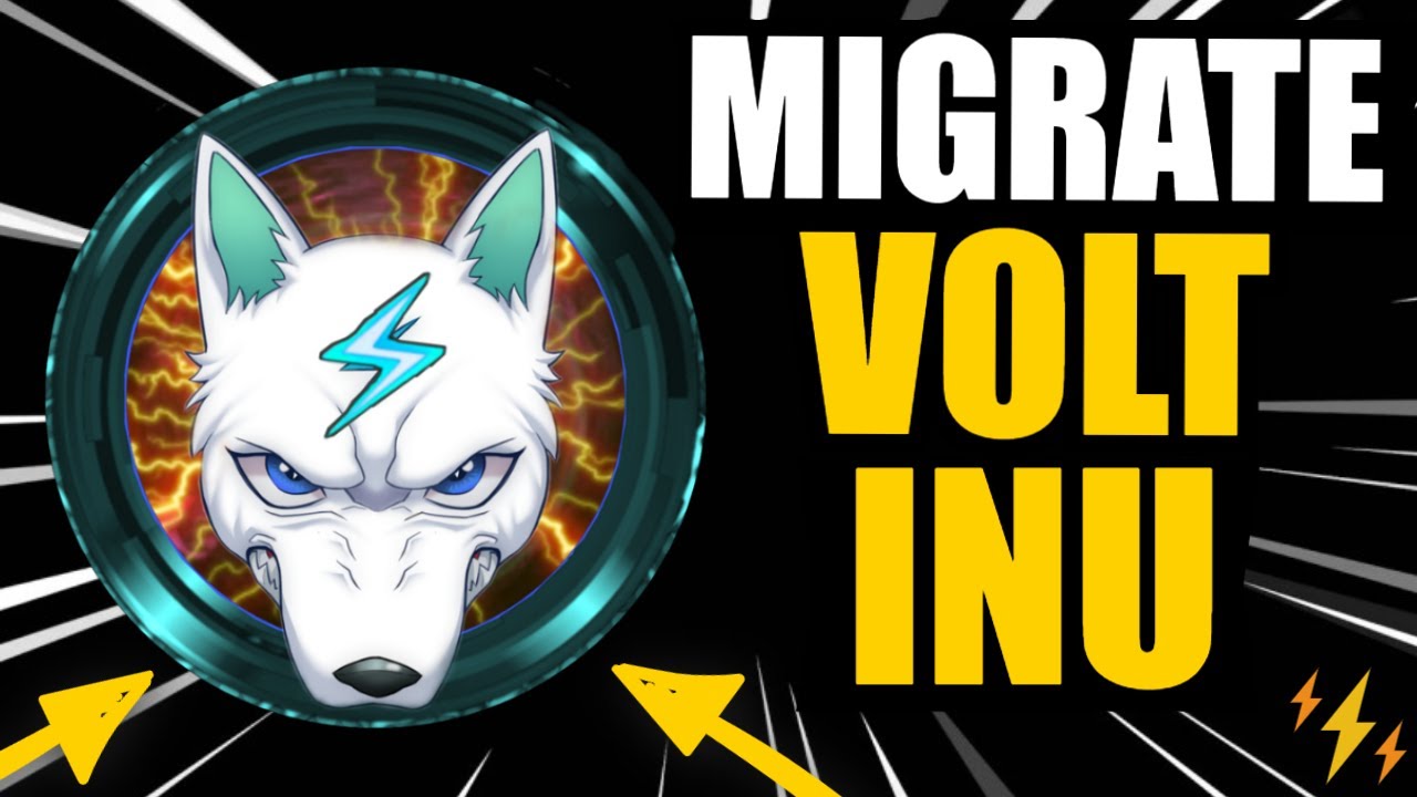 VOLT INU MIGRATION TO NEW CONTRACT! (FULL TUTORIAL) ✅