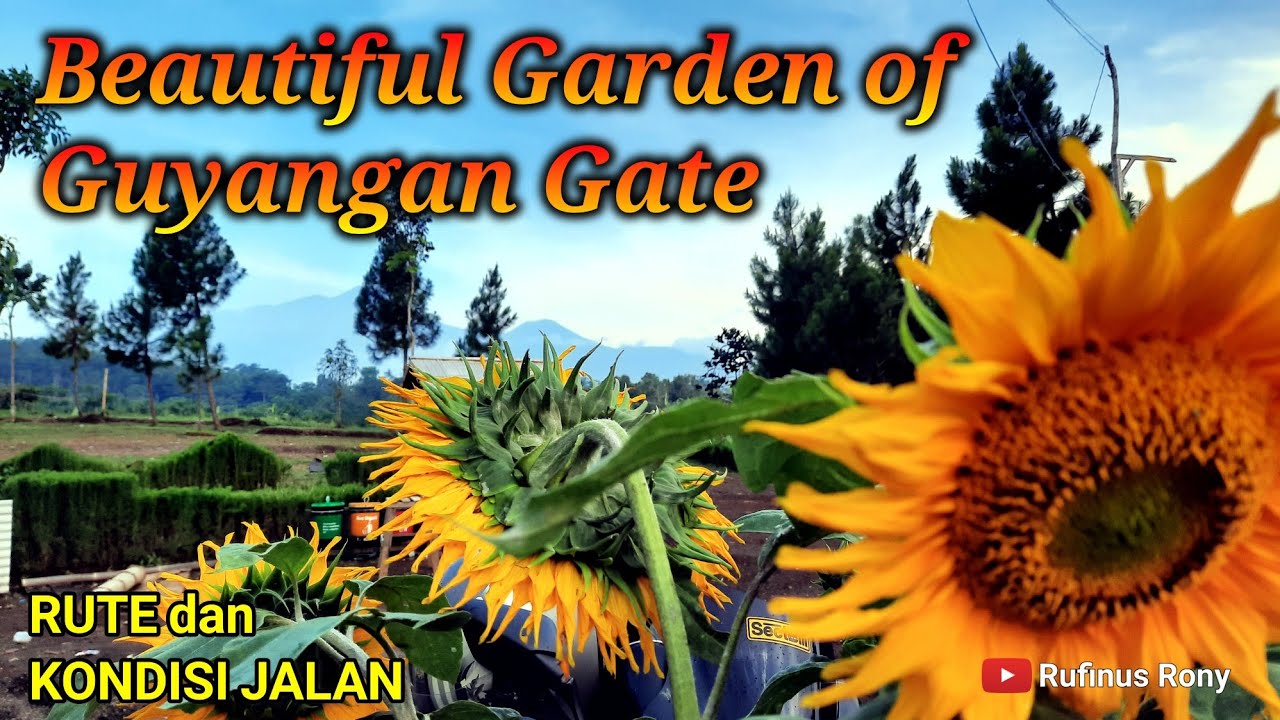 Rest Area Guyangan | wisata Probolinggo Jawa Timur | Krucil Probolinggo | beautiful garden