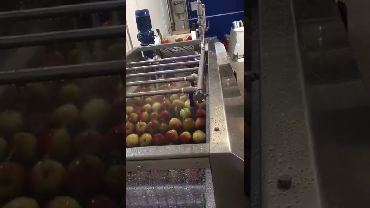 Impianto lavaggio, cernita e asciugatura mele - Apple washing, sorting, drying line - Pontecorvo Srl