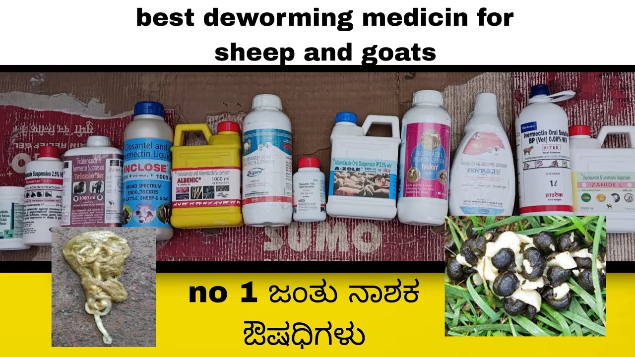 Best Deworming medicine for sheep and goats  and dosage ಜಂತು ನಾಶಕ ಔಷಧಿಗಳು